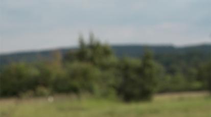 Eine grüne Wiese mit bewölktem Himmel ist verschwommen sichtbar.