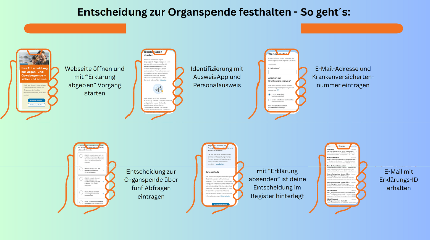 Knappe, graphische Zusammenfassung der einzelnen Schritte zur Registrierung im Organspenderegister.