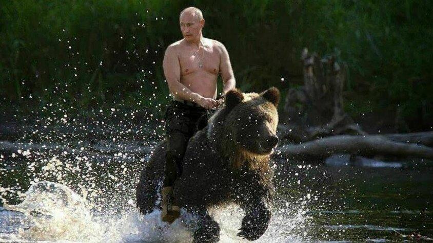 Putin reitet auf einem Bären
