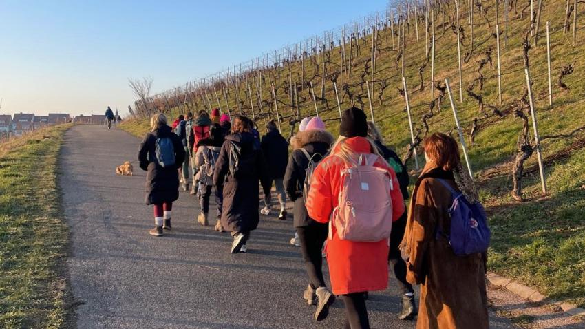 Eine Gruppe Frauen spaziert in der Sonne zwischen zwei Weinhängen